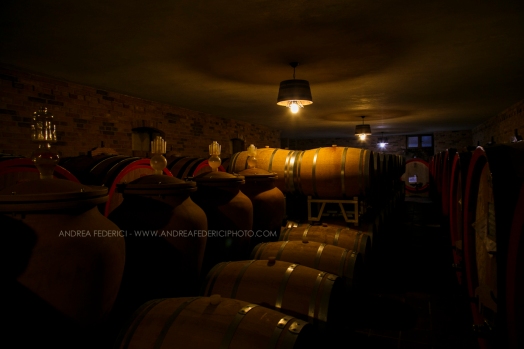 ROERO&LANGHE_243_1118@ANDREAFEDERICIPHOTO